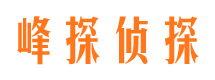 巴塘寻人公司